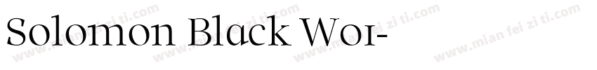 Solomon Black W01字体转换